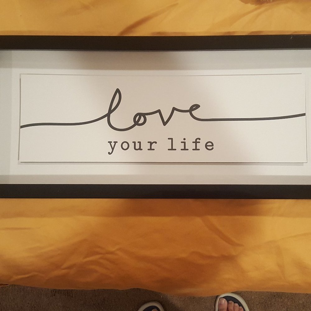 Framed Inspirational "love your life"